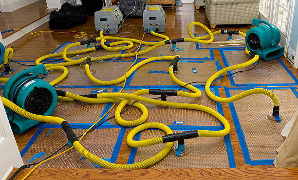 Professional Water Extraction technician working in Occoquan, VA